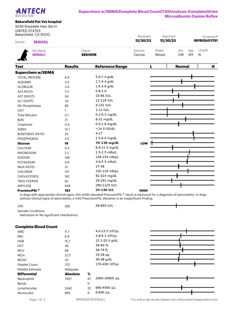 Dog blood work lab results