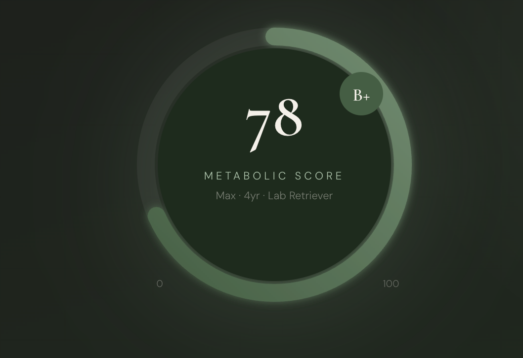 Metabolic Score 78 - B+